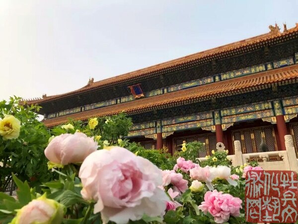 webwxgetmsgimg (11)_副本.jpg