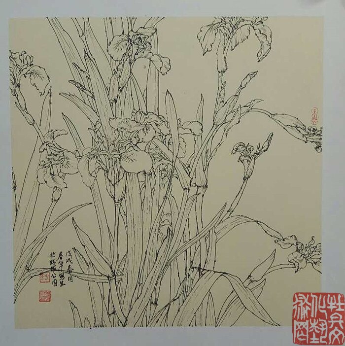 webwxgetmsgimg (21)_副本.jpg