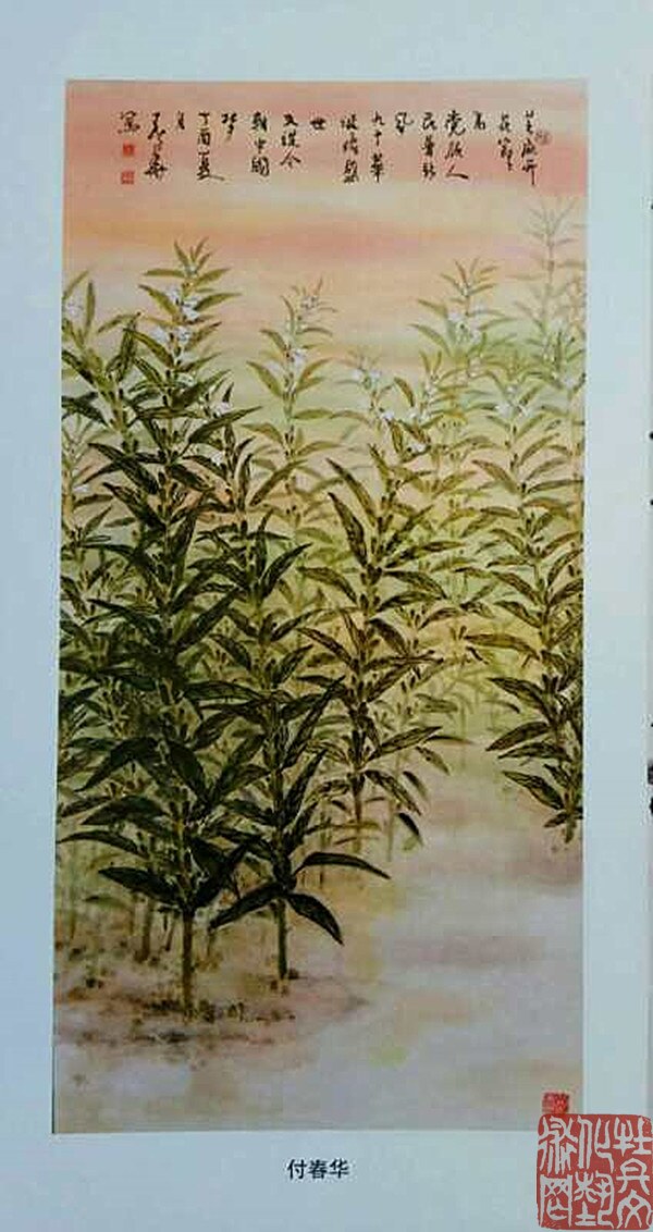 webwxgetmsgimg (19)_副本.jpg