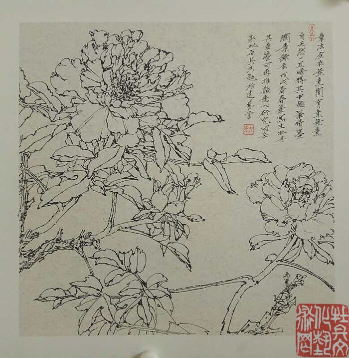 webwxgetmsgimg (18)_副本.jpg