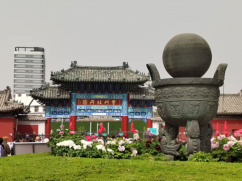 世界牡丹大会第34届菏泽牡丹节随拍